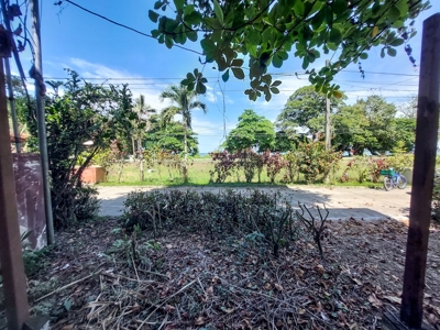 Amazing price on Ocean view lot in Bocas del Toro Panama - image 5