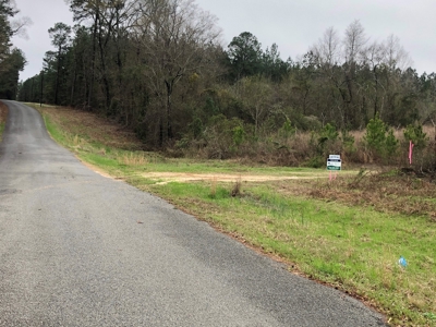 Land For Sale On Academy Road Near Homer! - image 1