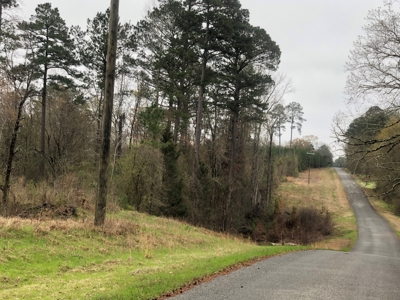 Land For Sale On Academy Road Near Homer! - image 3