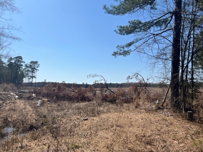 Land For Sale near Cullen, Louisiana - image 4
