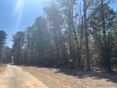 Land For Sale near Cullen, Louisiana - image 2