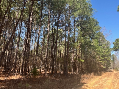 Land For Sale near Cullen, Louisiana - image 3