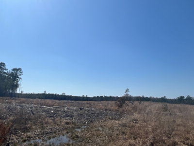 Land For Sale near Cullen, Louisiana - image 1