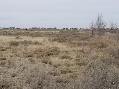 Acreage For Sale In Torrance County New Mexico - image 3