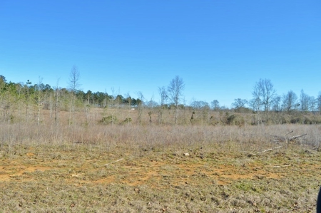 23.46 Acres Vacant Land for sale in Lincoln County MS - image 8