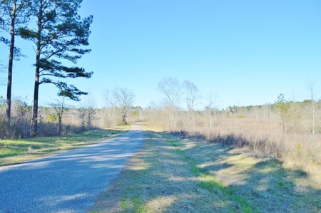 23.46 Acres Vacant Land for sale in Lincoln County MS - image 5