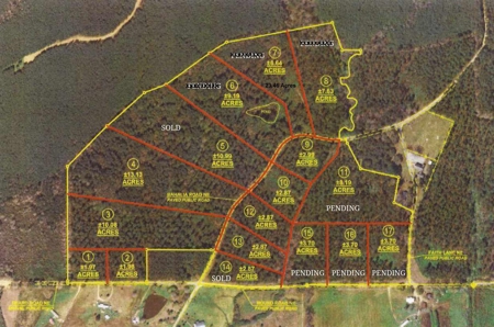 23.46 Acres Vacant Land for sale in Lincoln County MS - image 10