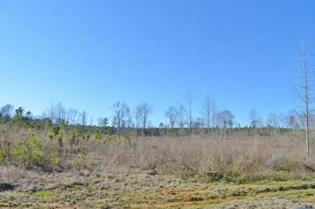 23.46 Acres Vacant Land for sale in Lincoln County MS - image 6