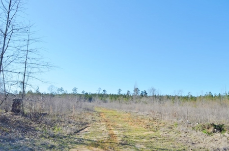 23.46 Acres Vacant Land for sale in Lincoln County MS - image 7