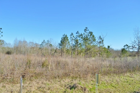 23.46 Acres Vacant Land for sale in Lincoln County MS - image 4