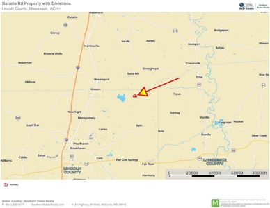 23.46 Acres Vacant Land for sale in Lincoln County MS - image 9
