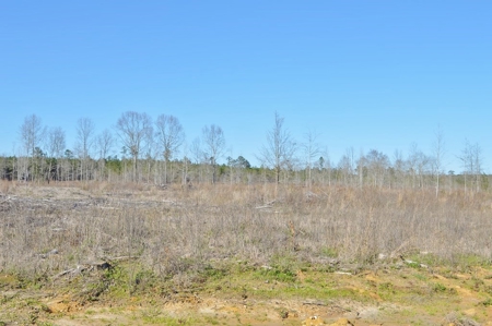23.46 Acres Vacant Land for sale in Lincoln County MS - image 2