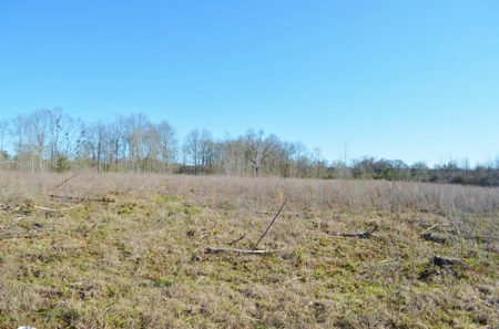 23.46 Acres Vacant Land for sale in Lincoln County MS - image 1