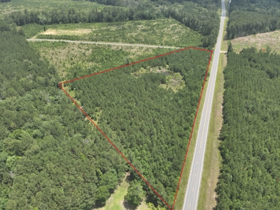 Homesite Potential on AR HWY 15 in Three Creeks Area! - image 8