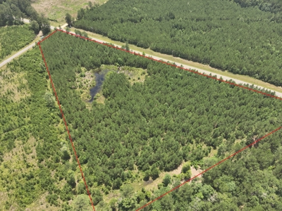 Homesite Potential on AR HWY 15 in Three Creeks Area! - image 7