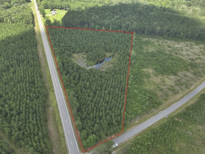 Homesite Potential on AR HWY 15 in Three Creeks Area! - image 4