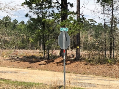 Homesite Potential on AR HWY 15 in Three Creeks Area! - image 3