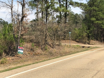 Homesite Potential on AR HWY 15 in Three Creeks Area! - image 2