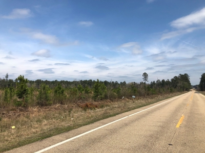 Homesite Potential on AR HWY 15 in Three Creeks Area! - image 1