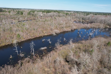 Lakefront Property For Sale Forrest County Mississippi - image 21