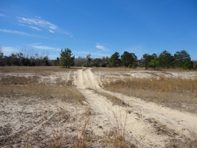 Lakefront Property For Sale Forrest County Mississippi - image 6