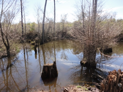Lakefront Property For Sale Forrest County Mississippi - image 9