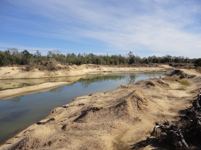 Lakefront Property For Sale Forrest County Mississippi - image 5