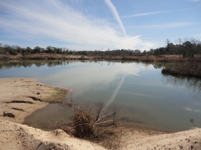 Lakefront Property For Sale Forrest County Mississippi - image 3