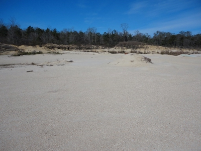 Lakefront Property For Sale Forrest County Mississippi - image 4