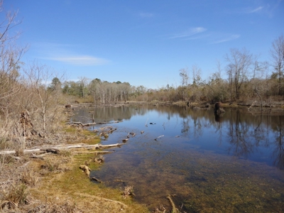 Lakefront Property For Sale Forrest County Mississippi - image 12