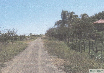 3.9 Hectares Beach Lot For Sale In Las Tablas Los Santos Pty - image 20