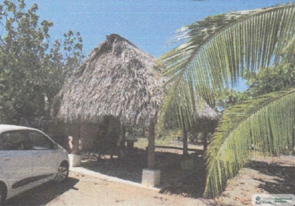 3.9 Hectares Beach Lot For Sale In Las Tablas Los Santos Pty - image 5