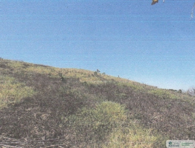 3.9 Hectares Beach Lot For Sale In Las Tablas Los Santos Pty - image 11