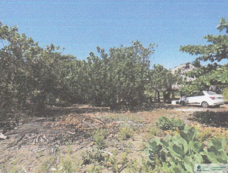 beach lot for sale panama