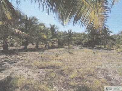 3.9 Hectares Beach Lot For Sale In Las Tablas Los Santos Pty - image 22