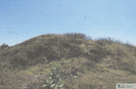3.9 Hectares Beach Lot For Sale In Las Tablas Los Santos Pty - image 19