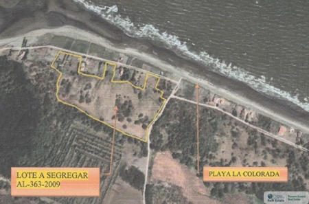 3.9 Hectares Beach Lot For Sale In Las Tablas Los Santos Pty - image 15