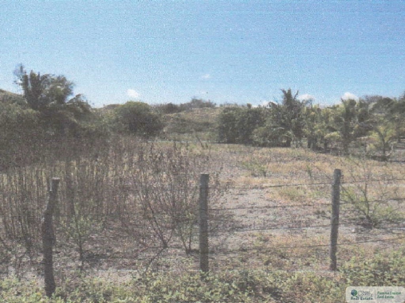 beach lot for sale panama