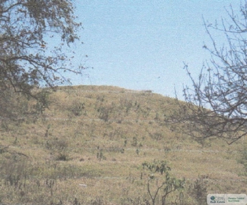 3.9 Hectares Beach Lot For Sale In Las Tablas Los Santos Pty - image 8
