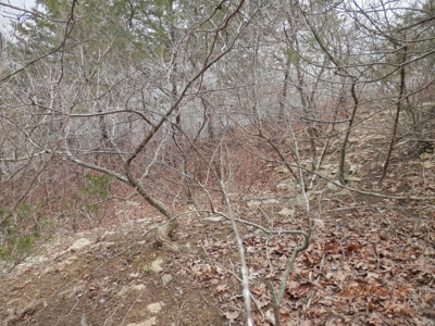 Lakefront lots at Hidden Valley Lake, Mapleton, KS - image 8