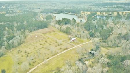 650 Acre High Fence Hunting Property Washinton Parish LA - image 10