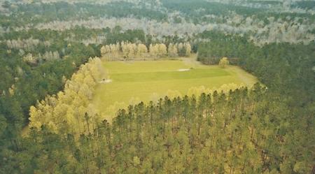 650 Acre High Fence Hunting Property Washinton Parish LA - image 14