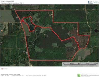 650 Acre High Fence Hunting Property Washinton Parish LA - image 36