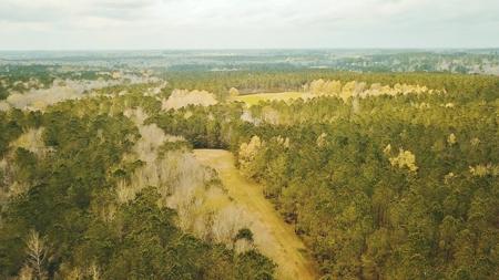 650 Acre High Fence Hunting Property Washinton Parish LA - image 15