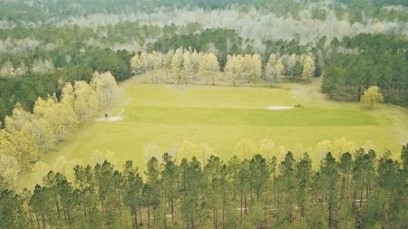 650 Acre High Fence Hunting Property Washinton Parish LA - image 8