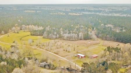 650 Acre High Fence Hunting Property Washinton Parish LA - image 3