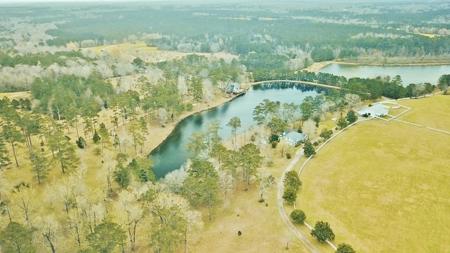 650 Acre High Fence Hunting Property Washinton Parish LA - image 9