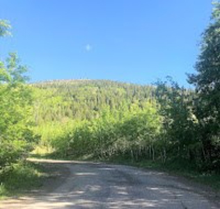 Vacant Land Listing Near Ski Resort in Colorado - image 3