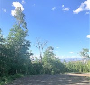 Vacant Land Listing Near Ski Resort in Colorado - image 2