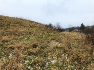 Ohio Hunting Land in Belmont County - image 7